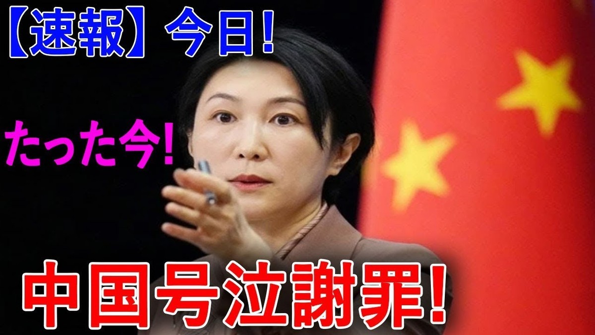 ニュース速報